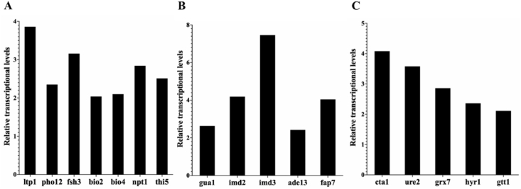 Fig. 3