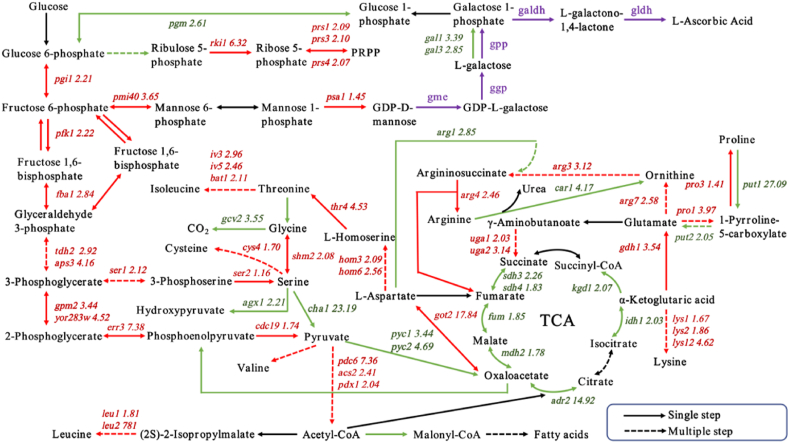 Fig. 2