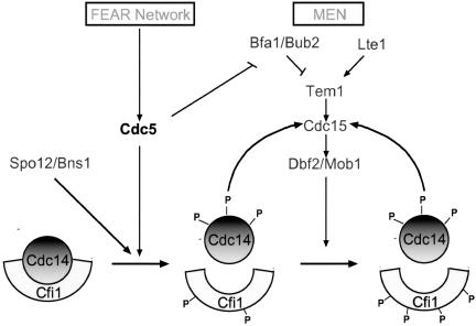 Figure 10.