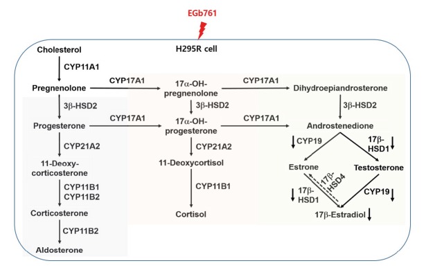 Figure 5.