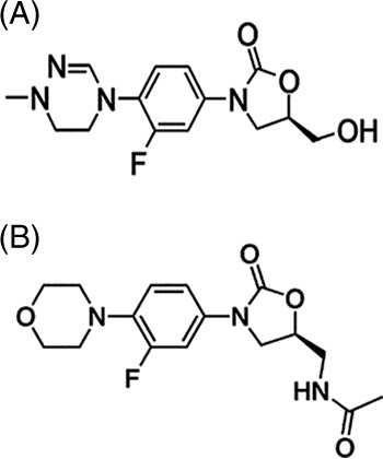 FIG 1