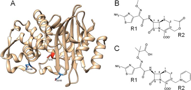 Figure 1.