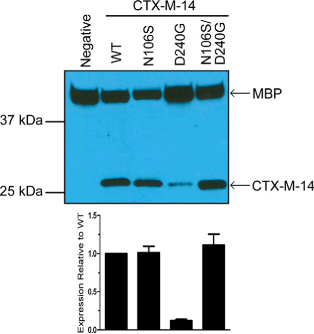 Figure 3.