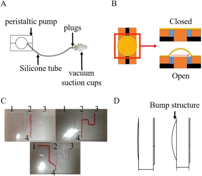 FIG. 2.