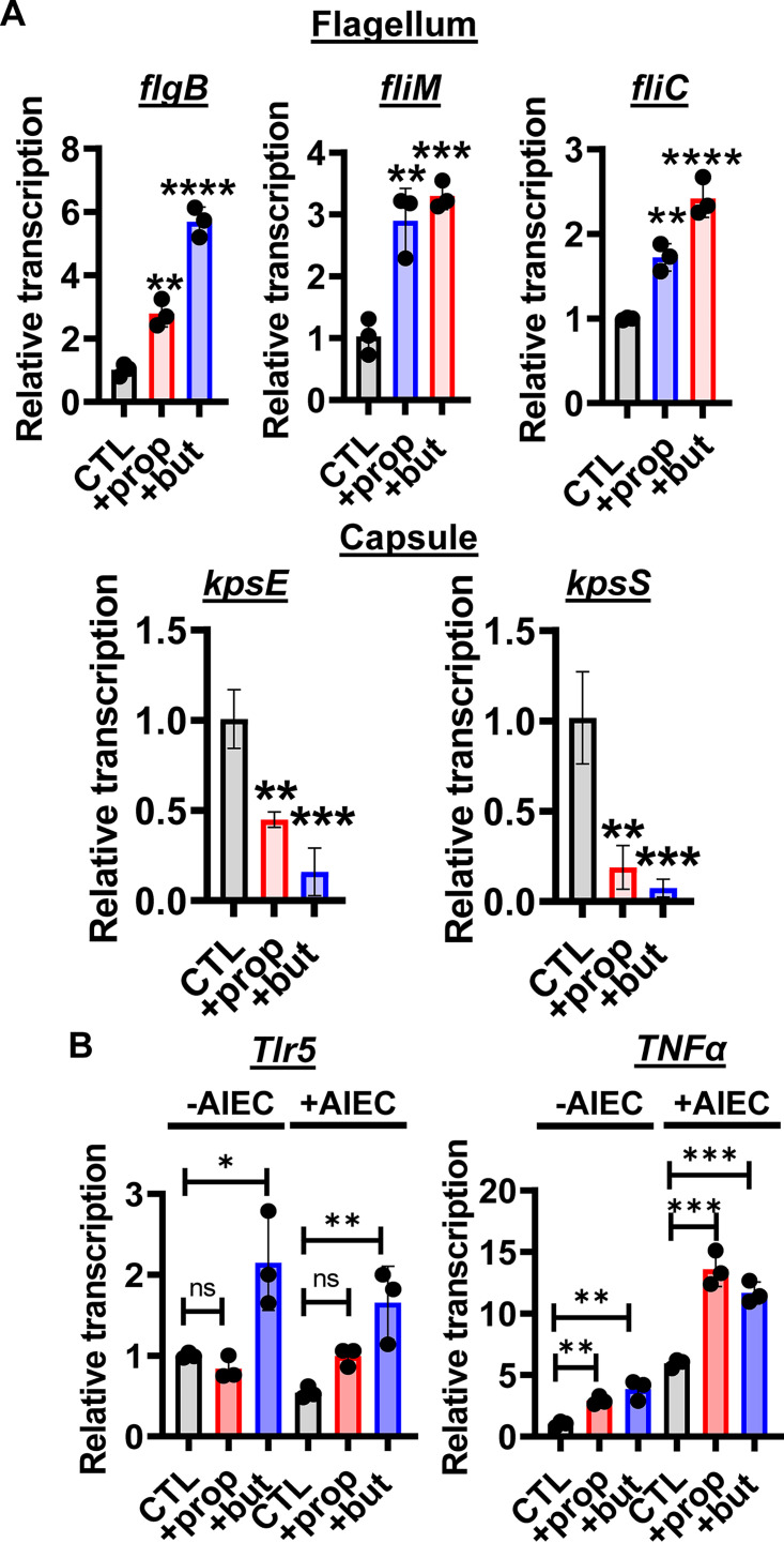 FIG 3