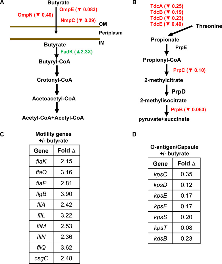 FIG 2