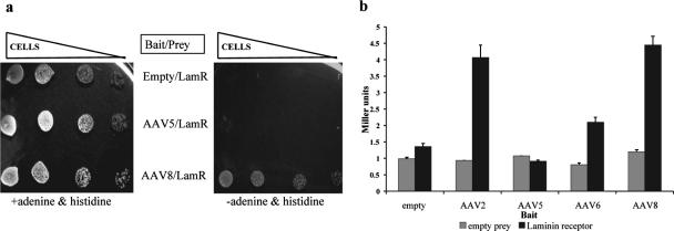 FIG. 1.