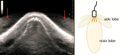 Fig. 9.