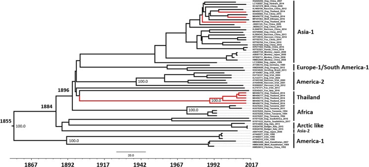 Figure 2