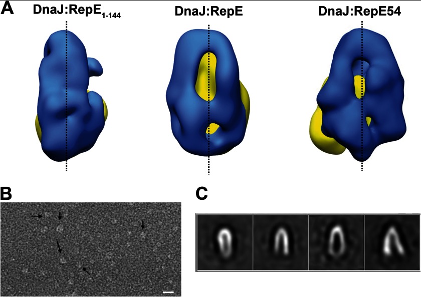 FIGURE 4.