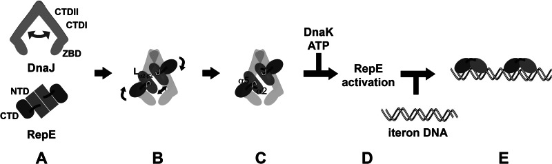 FIGURE 7.