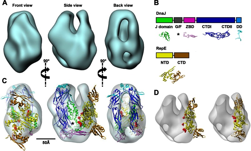 FIGURE 2.