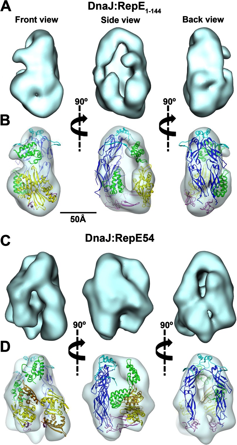 FIGURE 3.