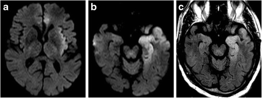 Fig. 8