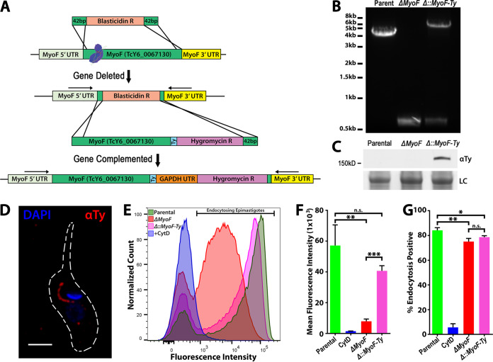 FIG 4