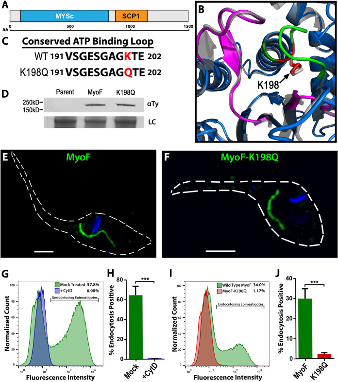 FIG 3