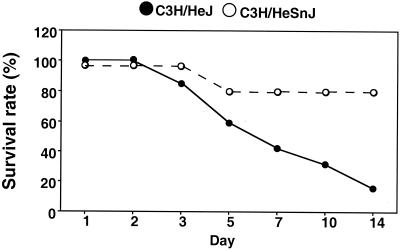 FIG. 7