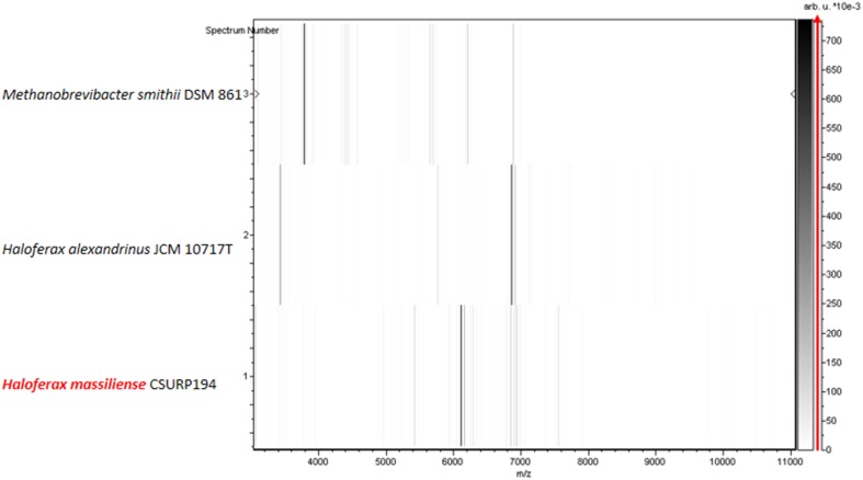 Fig. 4