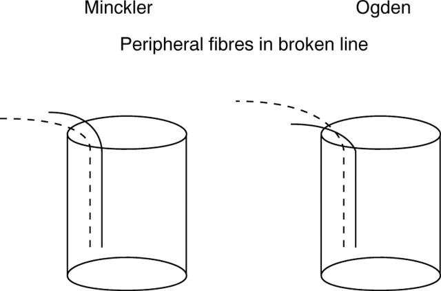 Figure 4  