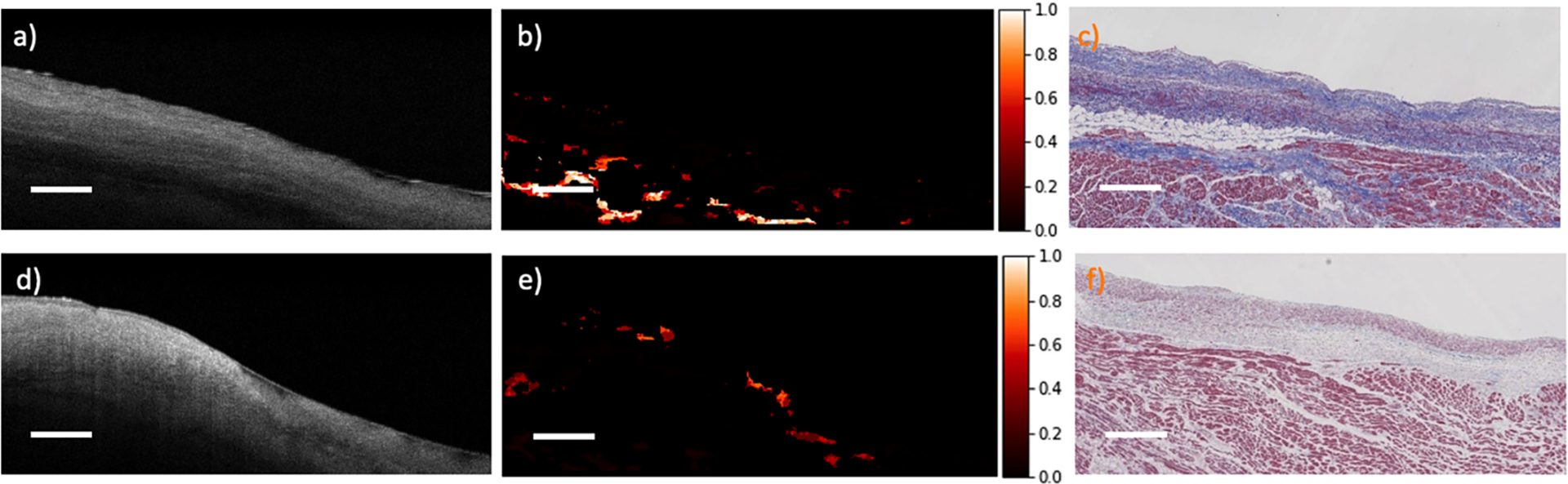 Fig. 6.