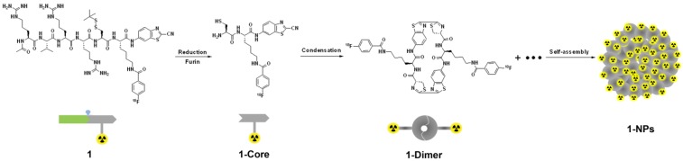 Scheme 1