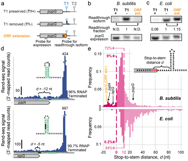 Fig. 2: