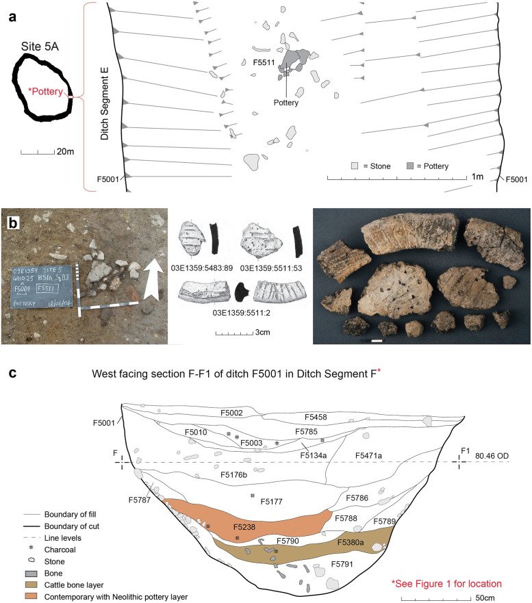 Fig 3