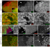 Fig. 4.