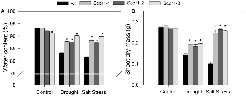 Figure 9