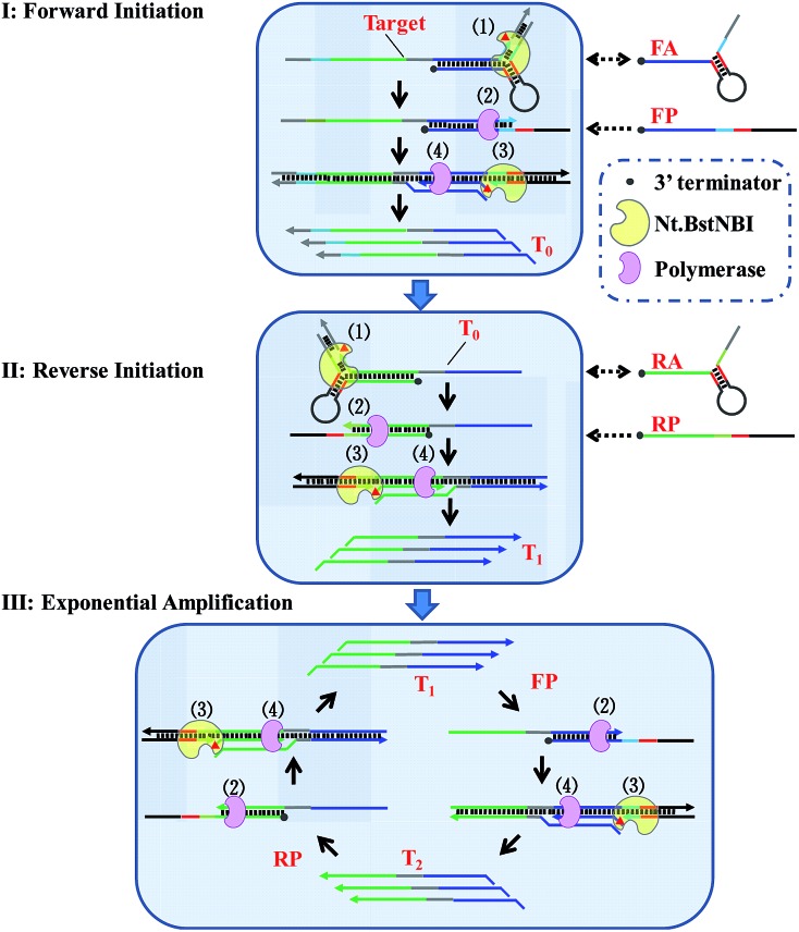 Scheme 2