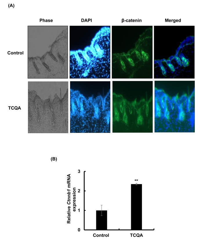 Figure 3AB