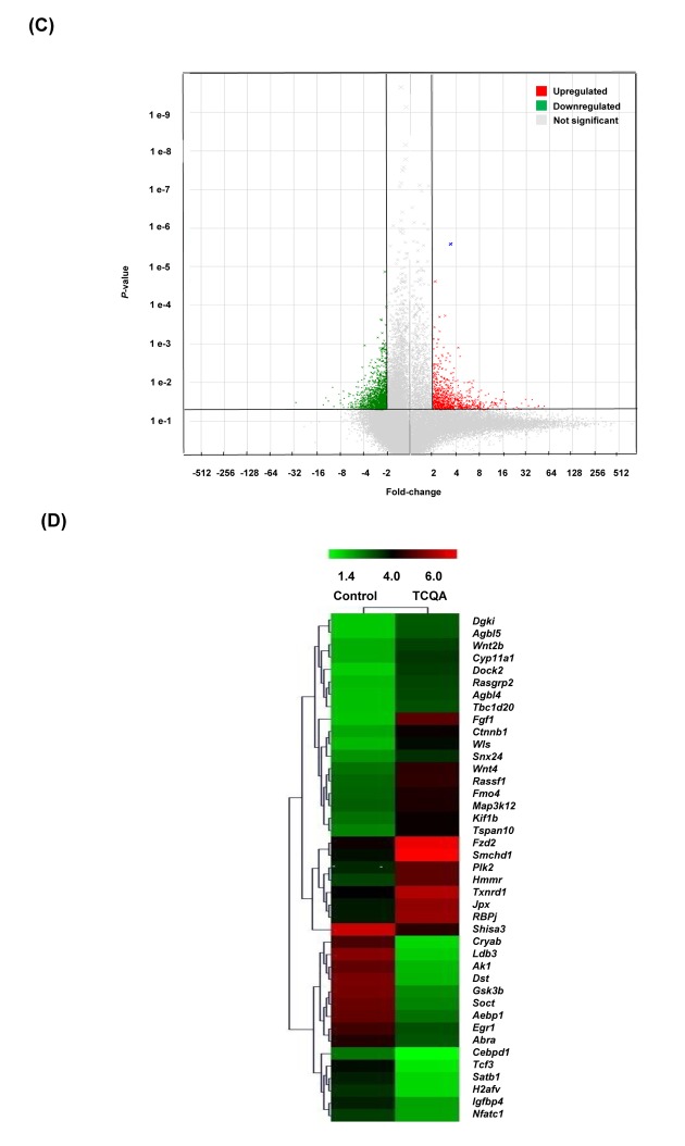 Figure 2CD