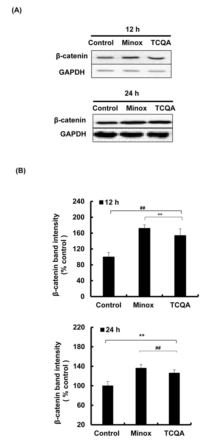 Figure 5AB