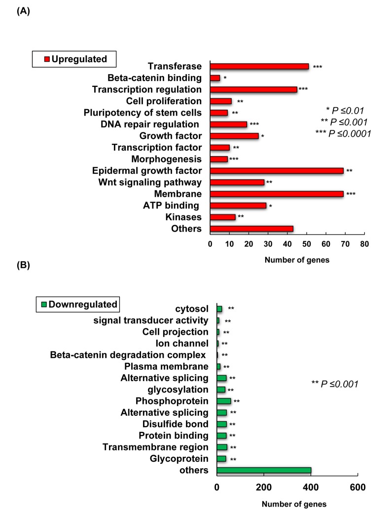 Figure 2AB