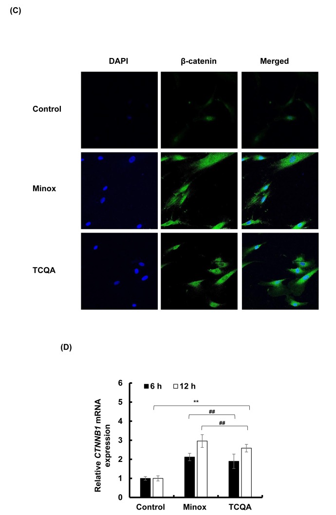 Figure 5CD