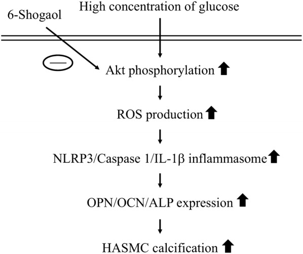 Fig. 7