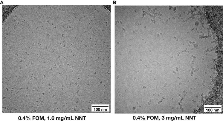 Figure 2