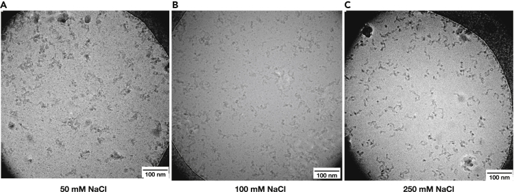 Figure 3