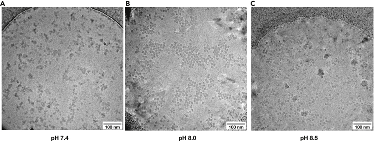 Figure 4