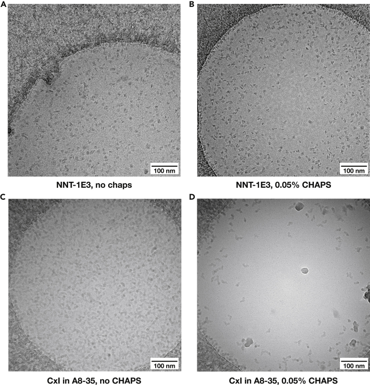 Figure 5