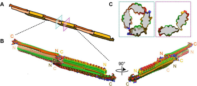 Figure 9.