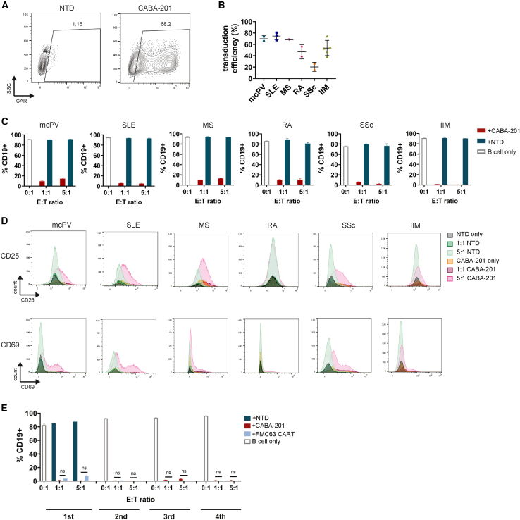 Figure 4