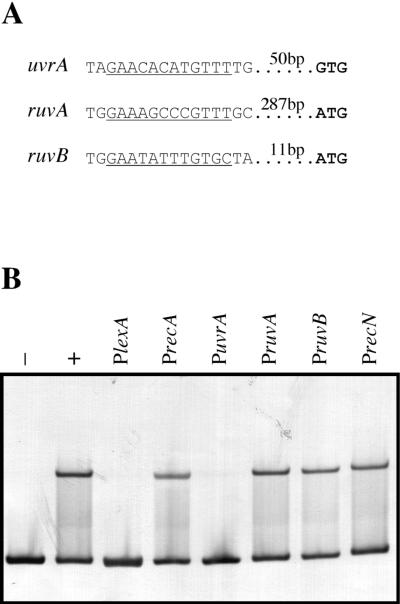 FIG. 5.