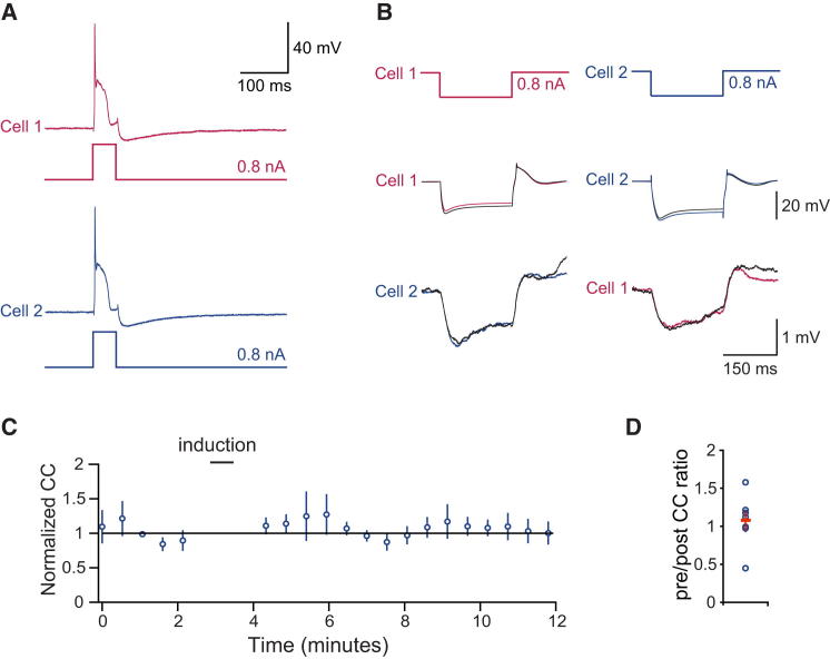 Figure 2