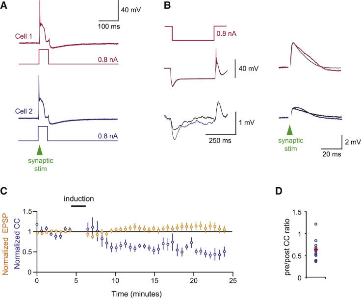 Figure 4