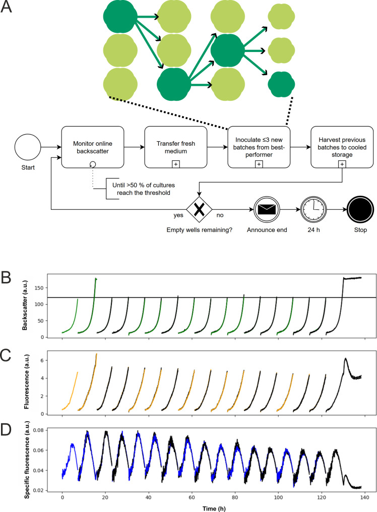 Fig. 3