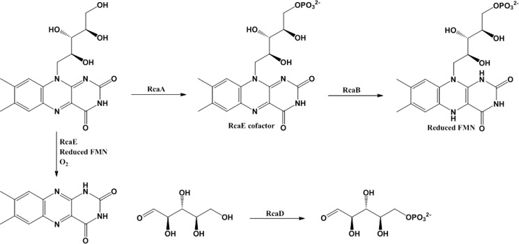 FIGURE 10.