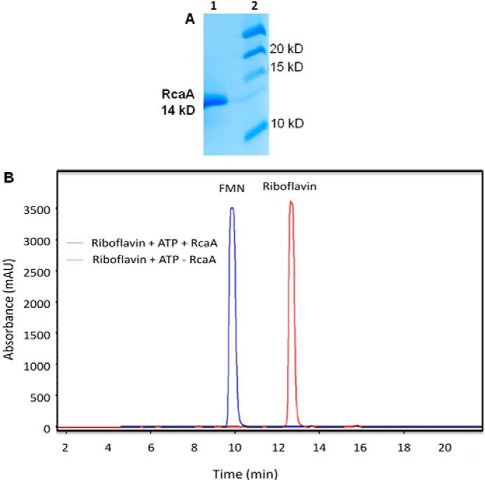 FIGURE 3.