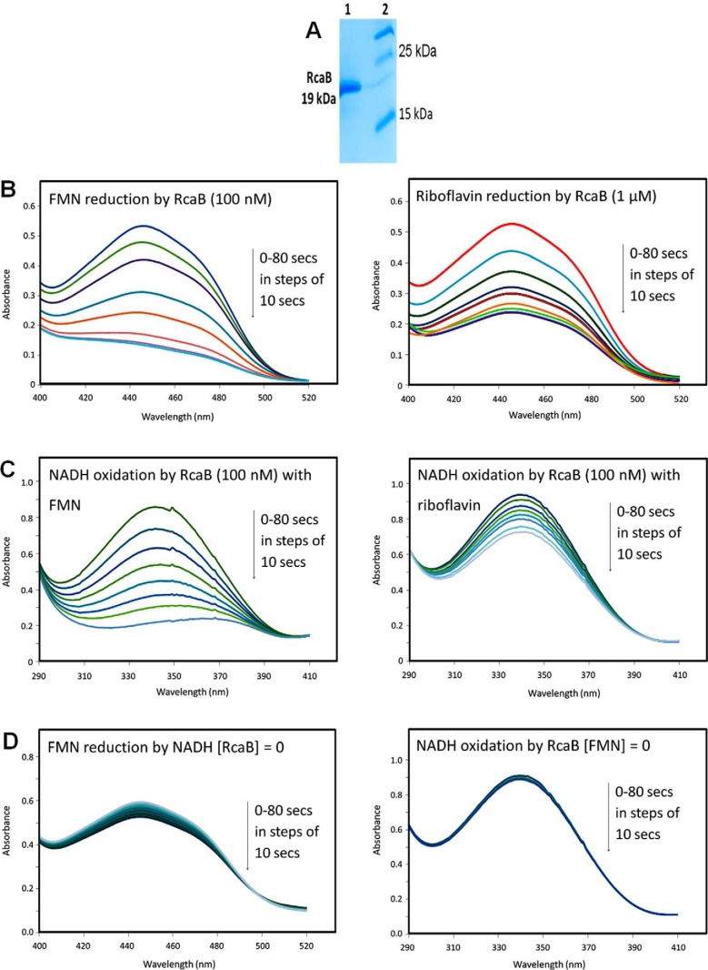 FIGURE 4.