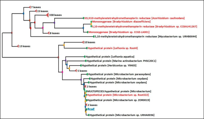 FIGURE 11.